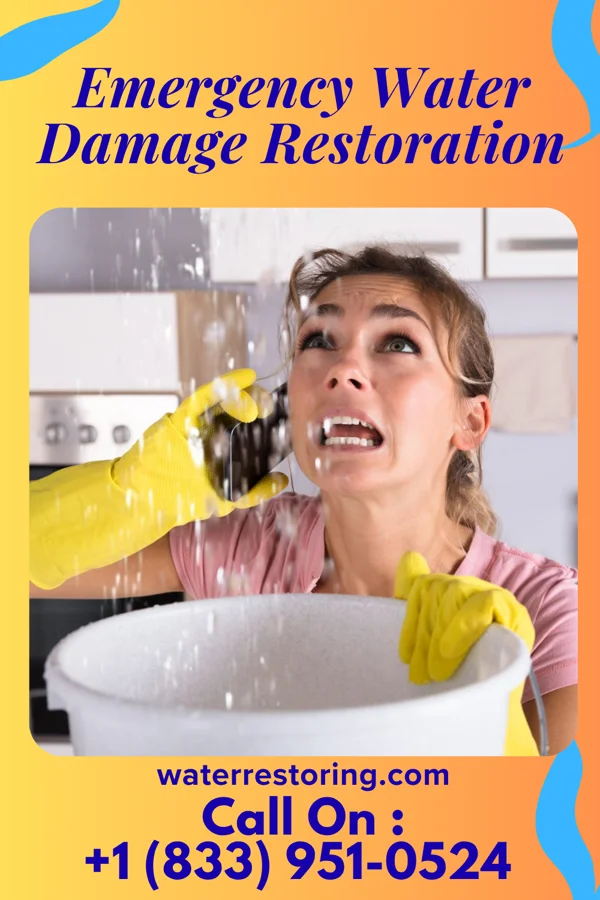 Emergency Water Damage Restoration in Ages, KY