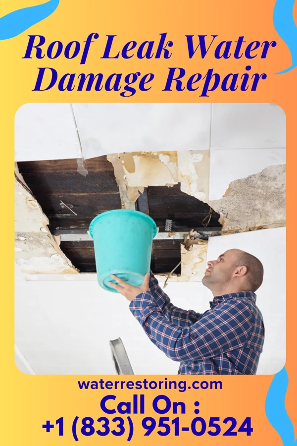 Roof Leak Water Damage Repair in Ages, KY